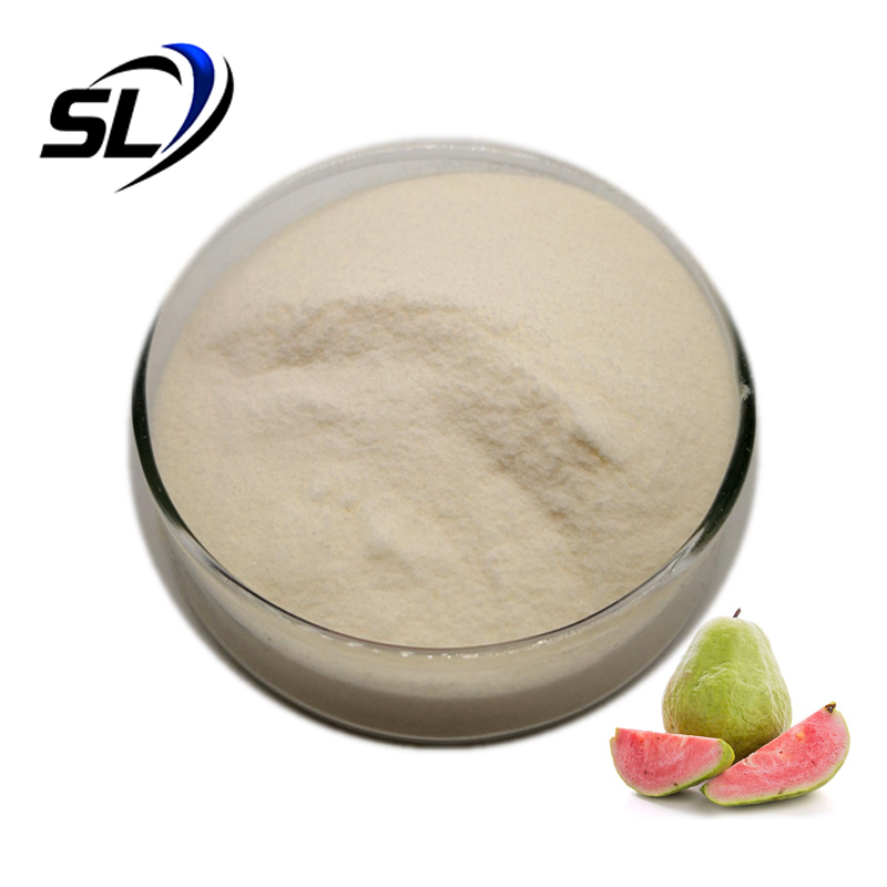 Guava Powder Wholesale Bulk Natural Organic Guava Juice Powder