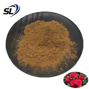 Rose Extract Bulk Rose Powder 100% Natural Rose Extract Powder