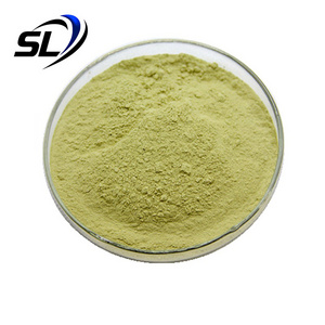 Isoquercetin Powder Healthcare Supplement Organic Sophora Japonica Extract