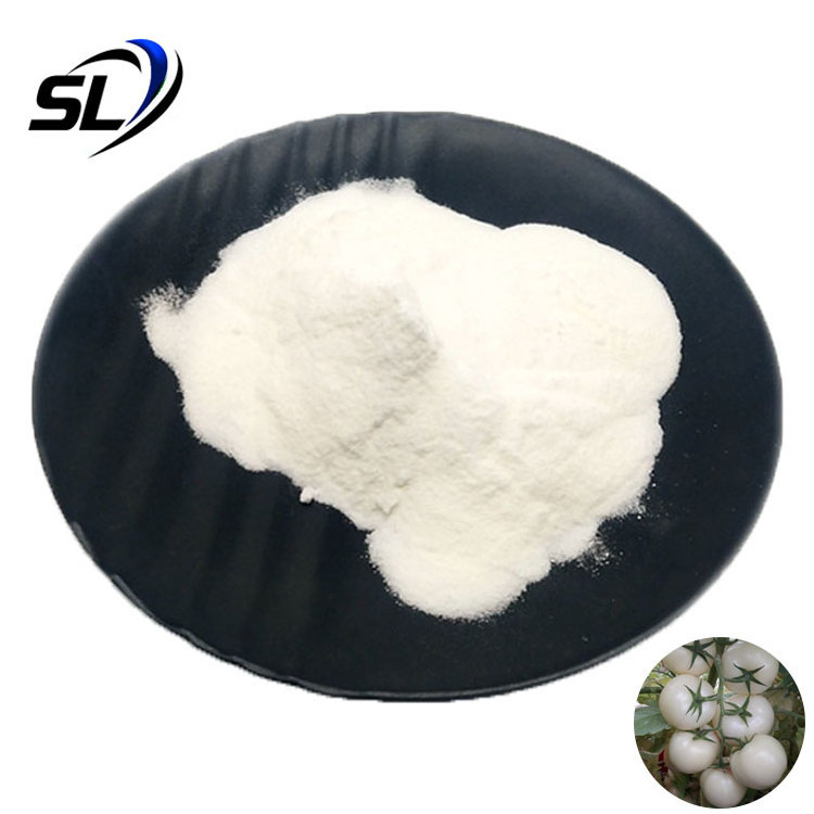 White Tomato Powder 100% Natural White Tomato Extract Powder