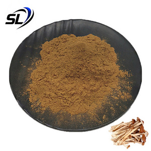 Agrocybe Aegerita Extract Powder Tea Tree Mushroom Extract Powder