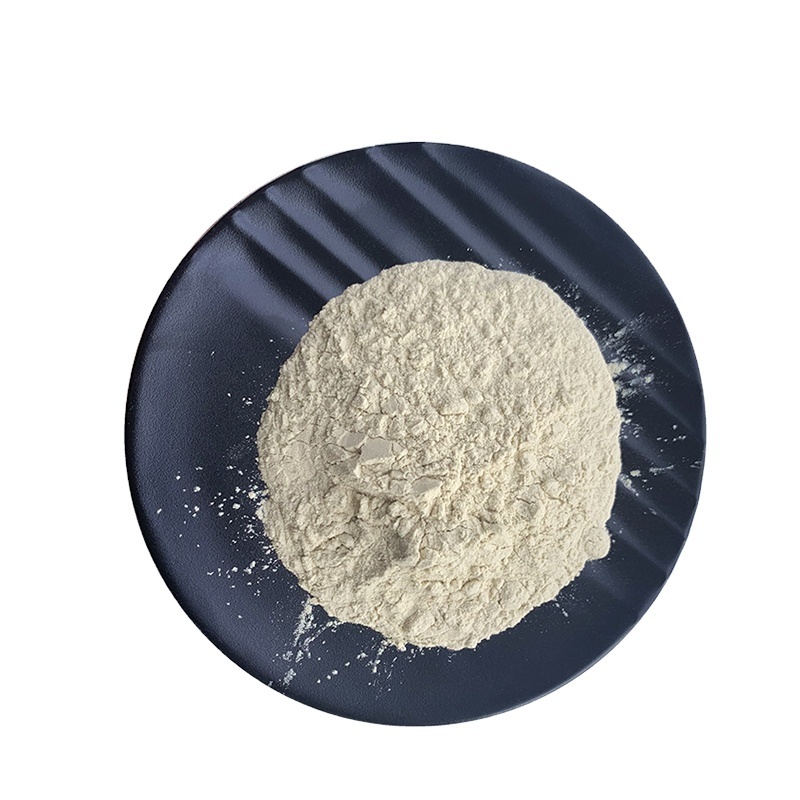 Soy Isolate Protein Supplements CAS 9010-10-0 Bulk Soy Isolate Protein Powder