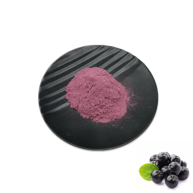 Top Quality Natural Pure Aronia Berry Extract Black Chokeberry Extract Powder