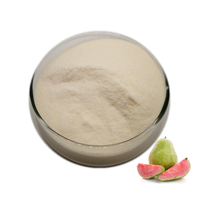 Guava Powder Wholesale Bulk Natural Organic Guava Juice Powder