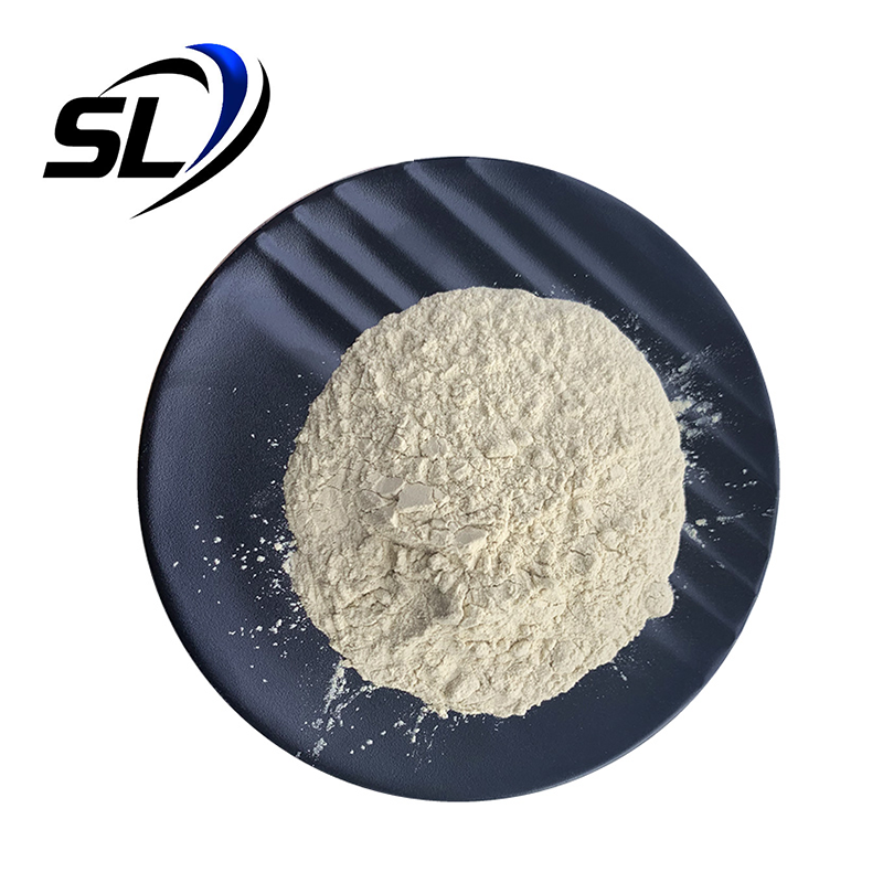 Soy Isolate Protein Supplements CAS 9010-10-0 Bulk Soy Isolate Protein Powder