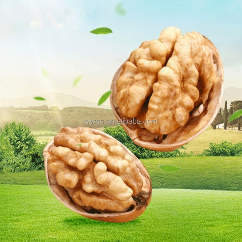 Daily Snacks Xinjiang Nuts High Satiety Xin 185 Walnut Kernel