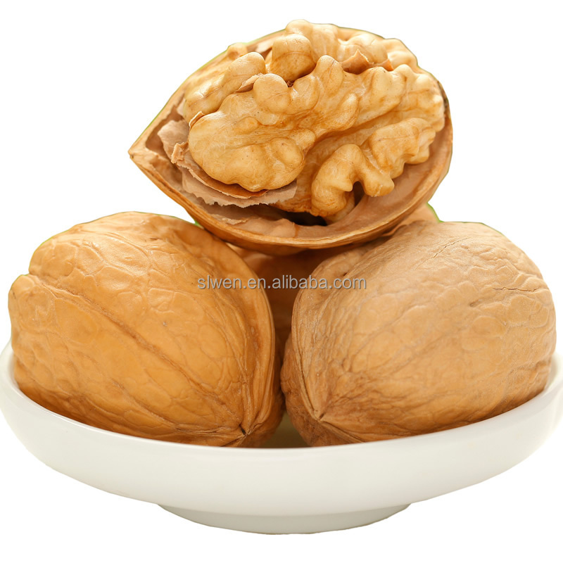 After Food Certification The Top China Xinjiang33 Walnut Kernel Factory Price