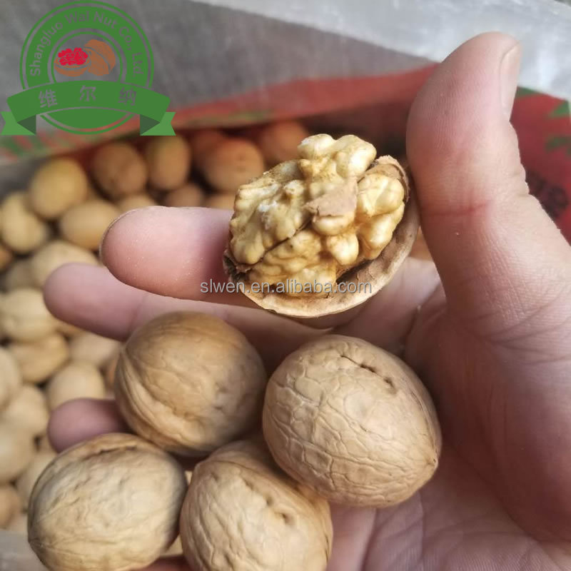 After Food Certification The Top China Xinjiang33 Walnut Kernel Factory Price