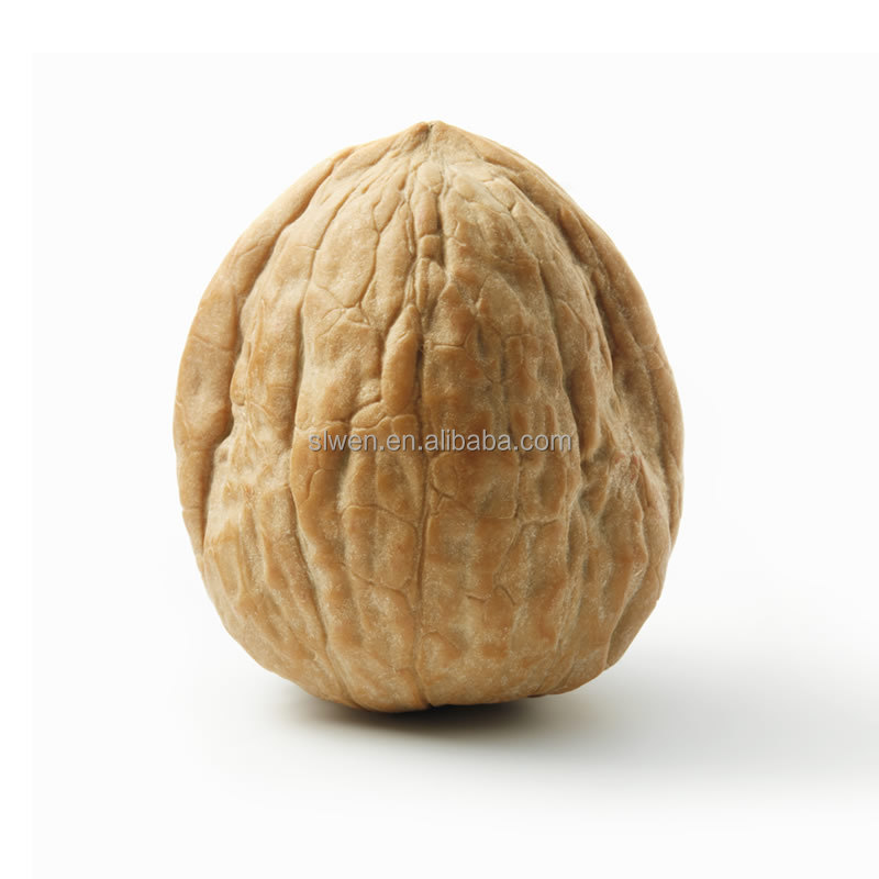 Daily Snacks Xinjiang Nuts High Satiety Xin 185 Walnut Kernel