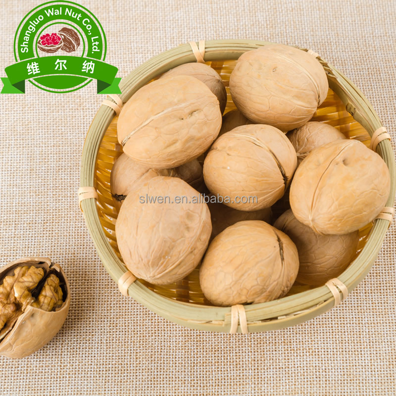 After Food Certification The Top China Xinjiang33 Walnut Kernel Factory Price