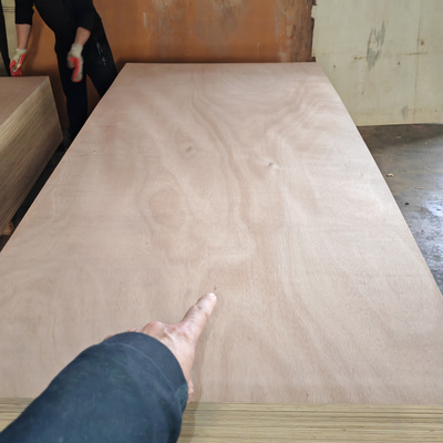 7.5mm 9mm 12mm 15mm 18mm 6mm thick okoume commercial marine faced plywood prices sheet with okoume veneer