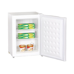 110L Mini Portable Ultra Low Temperature Upright Deep Freezer Price