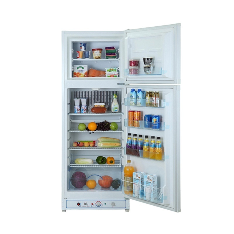 225L High Quality OEM Top-Freezer Gas Powered Double Door Refrigerator For DDG-225B1