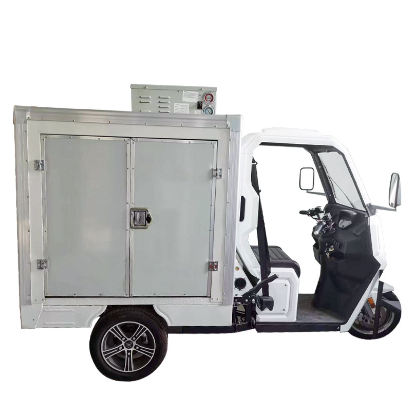 Tricycle Motorcycle Cargo E Tricycle 3 Wheel Adult Electric Tricycle With Roof