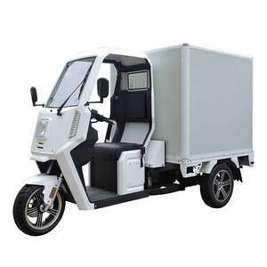 New Chinese Made Three Wheels Adults Cargo Cheap Electric Tricycle Motorcycle Enclosed Mobility Electric Scooter