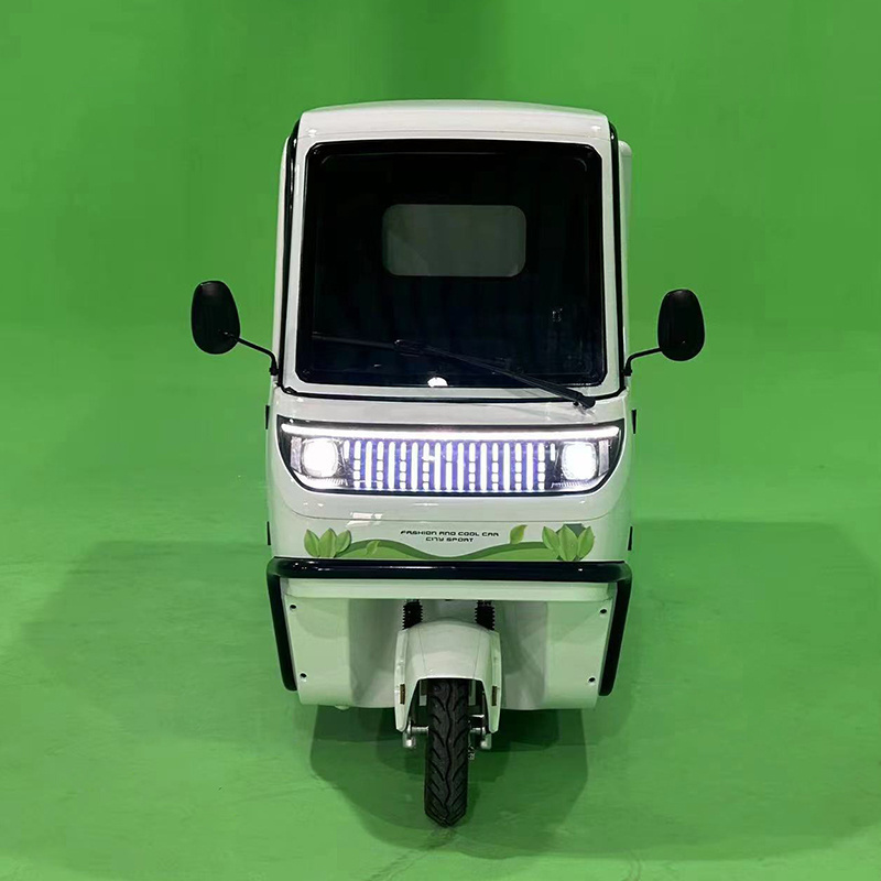 DOT EEC Certified Enclosed Electric Cargo Tricycle Factory Cargo Bike with Cabin for Transportation