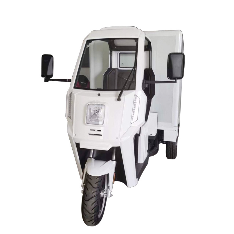 Tricycle Motorcycle Cargo E Tricycle 3 Wheel Adult Electric Tricycle With Roof