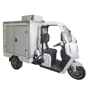 Tricycle Motorcycle Cargo E Tricycle 3 Wheel Adult Electric Tricycle With Roof