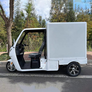 EEC  Electric  Tricycle China Tricycle New Design Enclosed Body  China Electric Tricycle