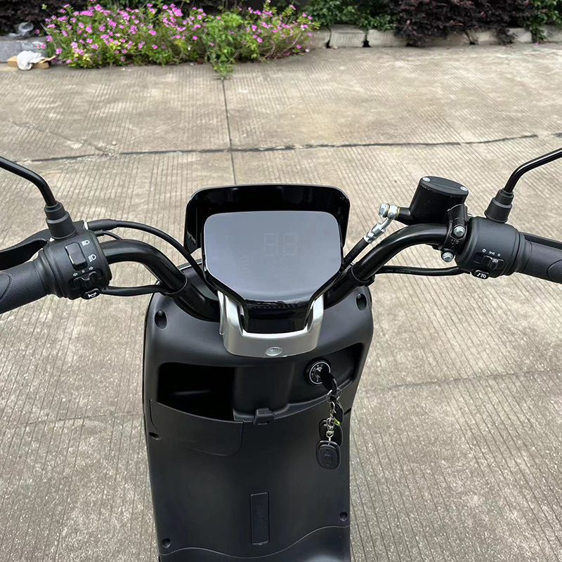 1000W Powerful 2 Wheel Electric Moped 60V 20ah Lead Acid Battery Electric Scooter