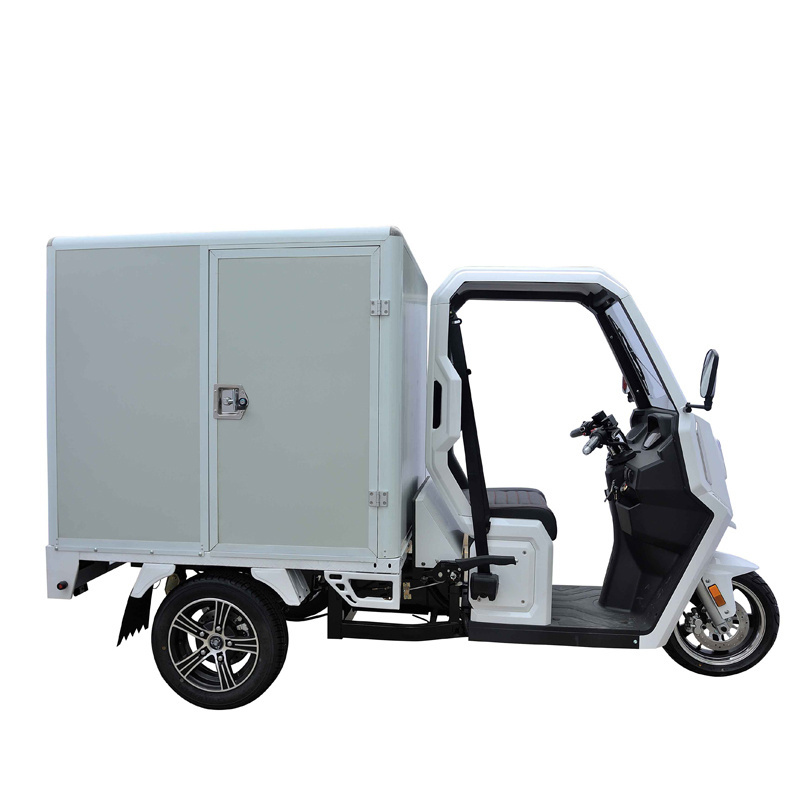 New Design Supplier Detachable Category Enclosed Electric Tricycle Cargo Trikes For Delivery 3 Wheeler Electric