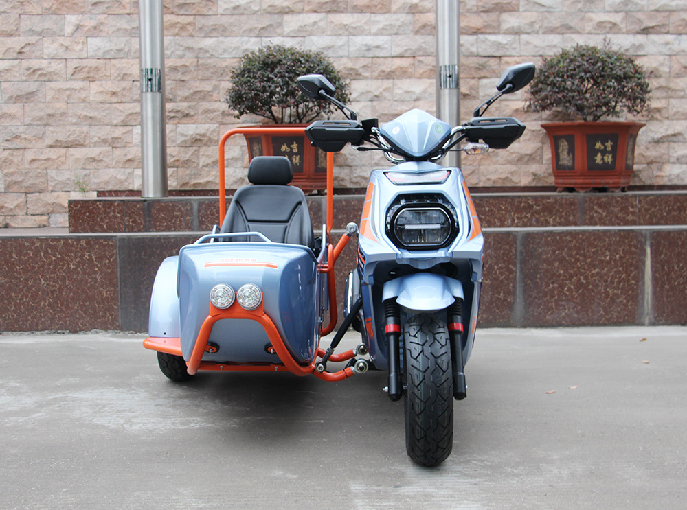 Factory Wholesale Oem Fuel Gasoline Trike Motorcycle Can Take Pet Gas Tricycle Sidecar Scooter With Sidecar