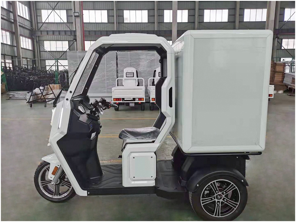 Electric 3 Wheeler Trike Manufacturer Heavy Loader E Rickshaw Tuk Tuk 3 Wheel Motorcycles For Sale