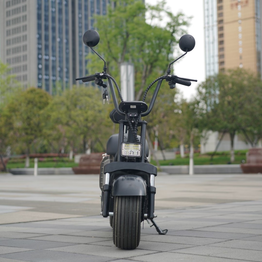 CE 48v Europe Warehouse 1000w Fat Tire Moped Electric Motorcycles Scooter Kids Electric Dirt bike Citycoco Scooter