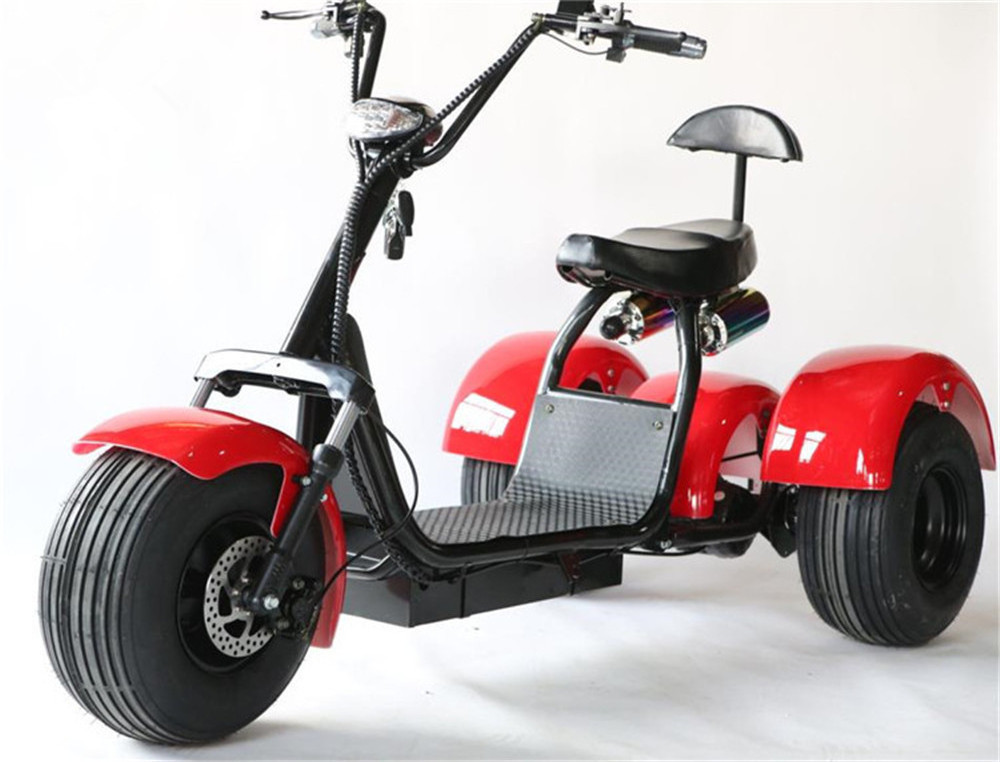 2023 fat tire three wheel citycoco off-road electric scooter for sale