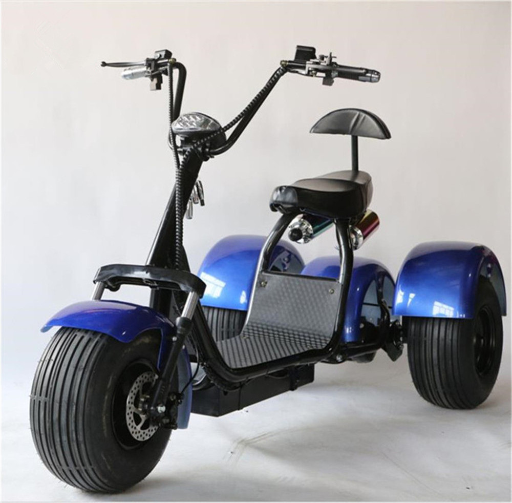 2023 fat tire three wheel citycoco off-road electric scooter for sale