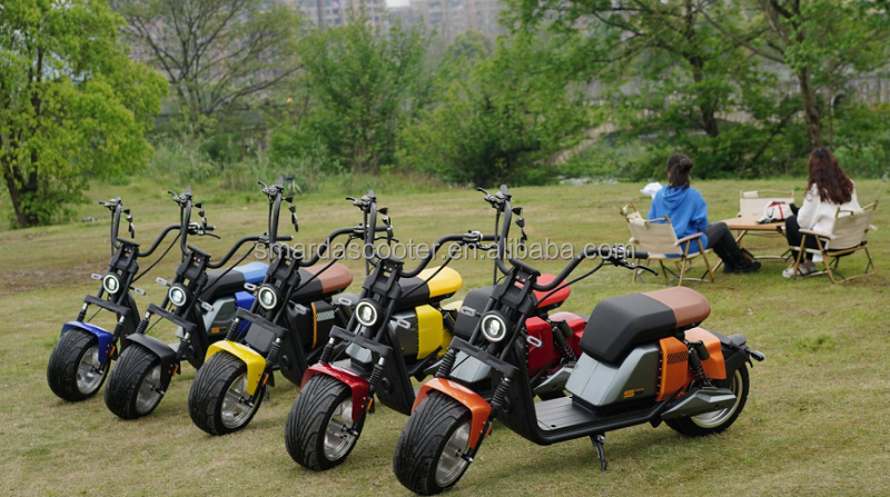 TOP Factory Supply Long Range Cargo electric citycoco Scooters 3000w High Speed Electric  offroad electric scooter