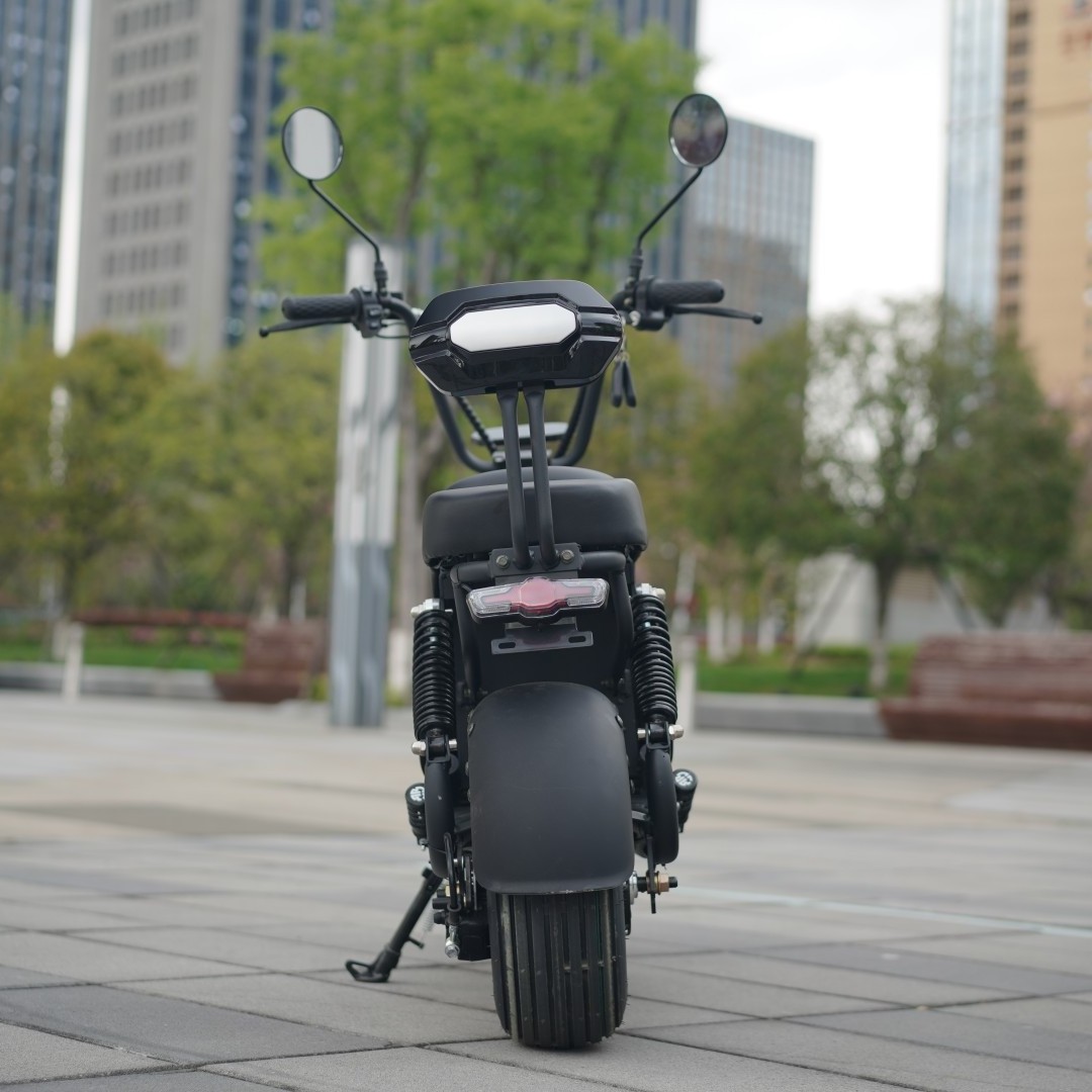 CE 48v Europe Warehouse 1000w Fat Tire Moped Electric Motorcycles Scooter Kids Electric Dirt bike Citycoco Scooter