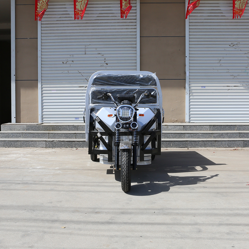 Wholesale 1200W Cargo Electric Tricycle Electric Trike Ebike 3 Wheel Electric Bicycle For Adults