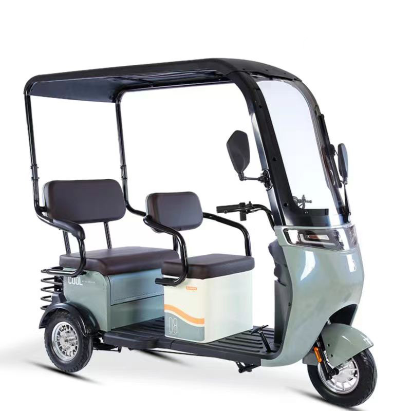 Wholesale 800W Electric Tricycle E-Bike Family Use 3 Wheel Electric Bicycle Electric Pedicab For Elderly