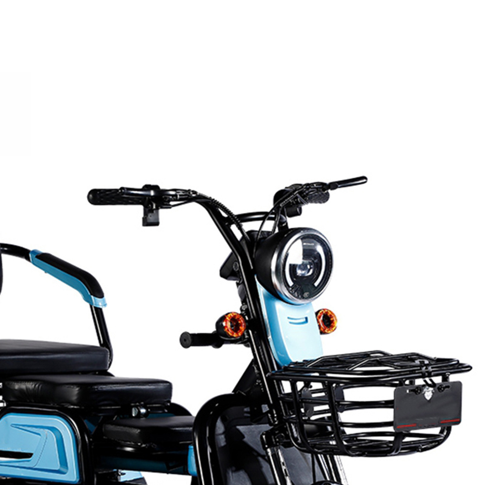 Hot Sale Electric Cargo bike 600W 20Ah Long Range Electric Family Delivery bike 3 Wheel Cargo E Bike