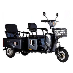 Hot Sale Electric Cargo Tricycle 800W/1000W OEM 3 wheel Cargo Tricycle For Adult