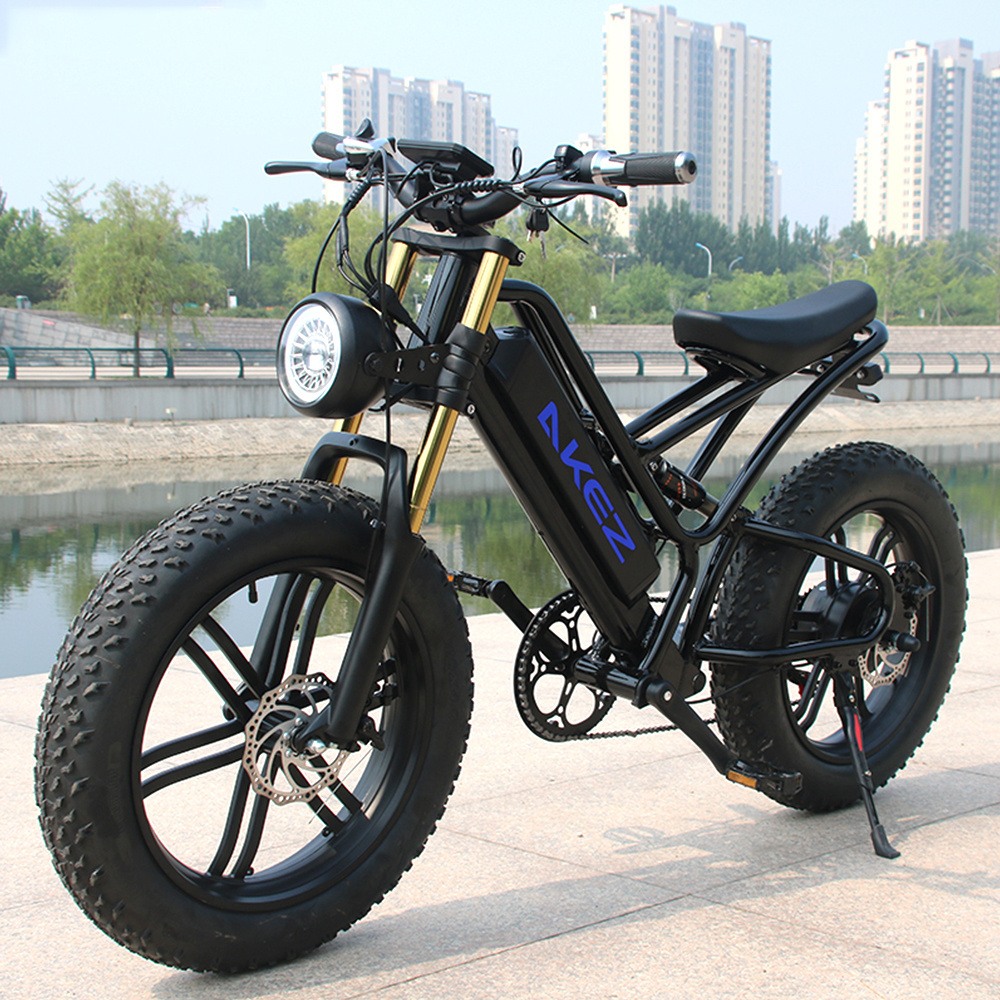 2023 New High Speed Ebike Fat Tire Electric Bicycle 750W 48V E-Bike 20 Inch E Mountain Bike Electric Dirt Bike