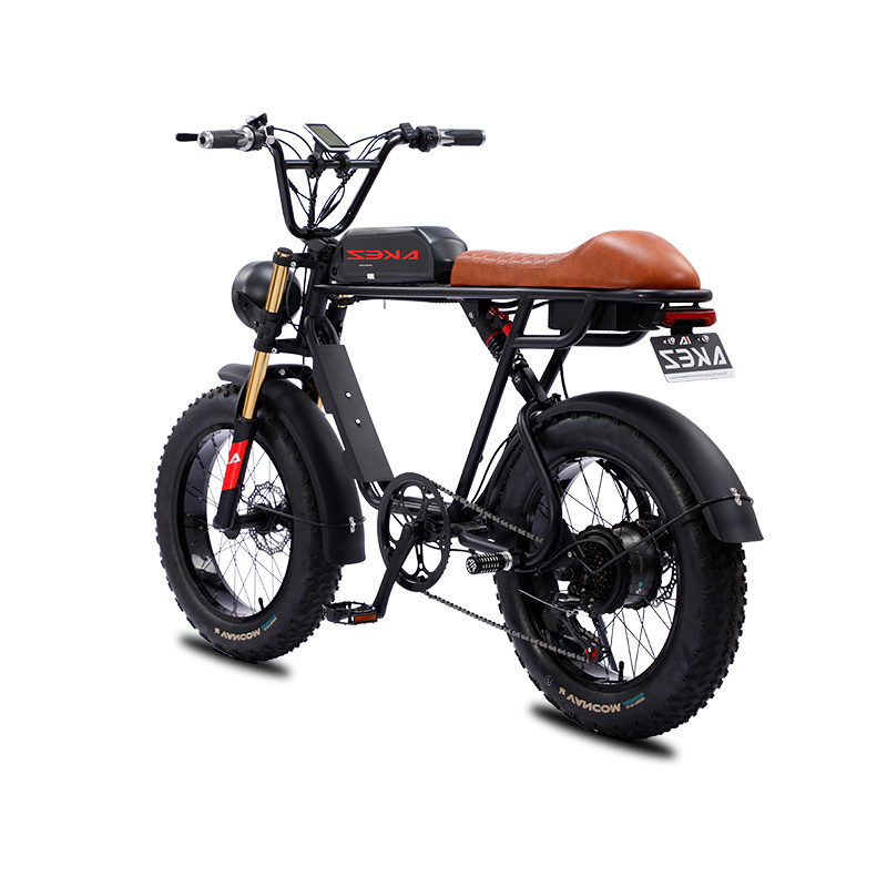 20*4.0 Fat Tire Bike Motorbike Electric Snow Tire Bike Disc Brake Electric Mountain Bike