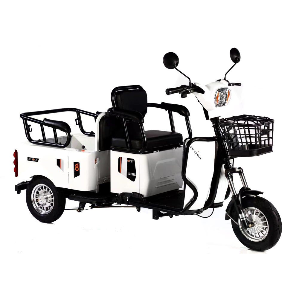 Hot Sale Electric Cargo Tricycle 800W/1000W OEM 3 wheel Cargo Tricycle For Adult