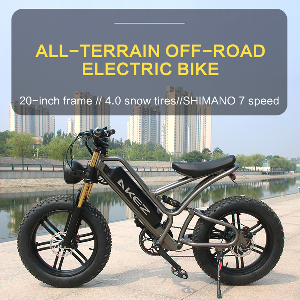 2023 New High Speed Ebike Fat Tire Electric Bicycle 750W 48V E-Bike 20 Inch E Mountain Bike Electric Dirt Bike