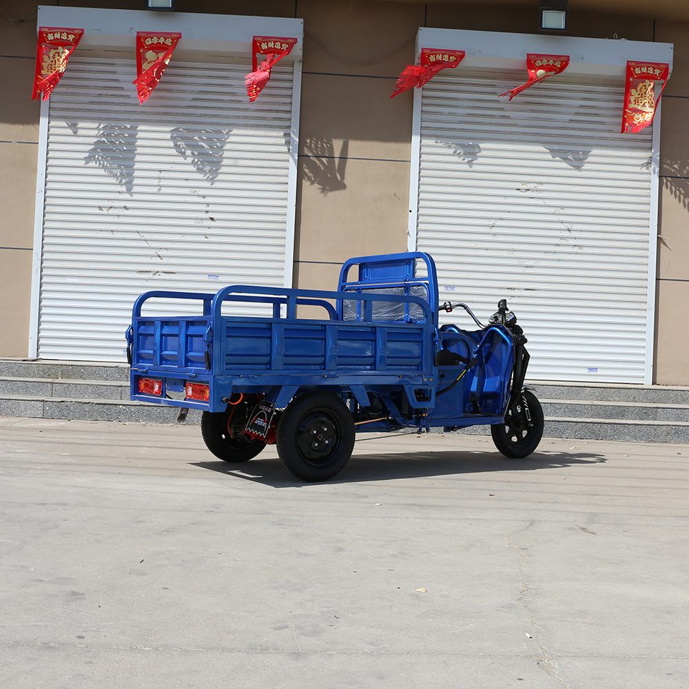 Wholesale Electric Motorcycle Tricycle 850W Electric Cargo Tricycle 3 Wheel Electric Bike For Adults