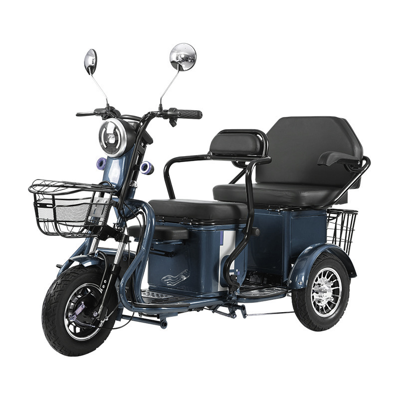 Factory Supply Mini Electric Motorcycle Tricycle 800W Long Range Adult Electric Cargo Scooter