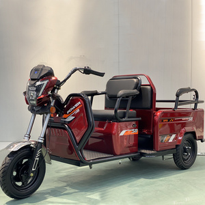 2023 New 3 Wheel Electric Motorcycle 600W 48V Electric Cargo Tricycle 3 Wheel Electric Bike For Adults