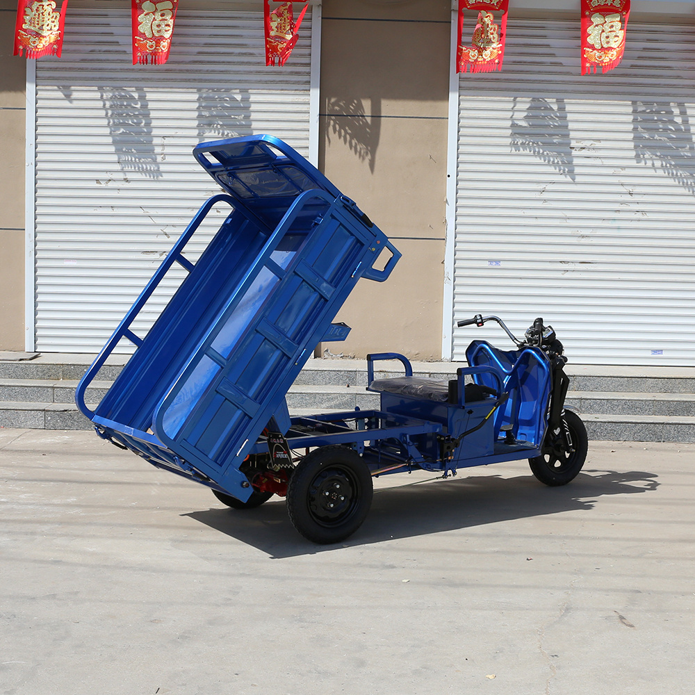 Wholesale Electric Motorcycle Tricycle 850W Electric Cargo Tricycle 3 Wheel Electric Bike For Adults