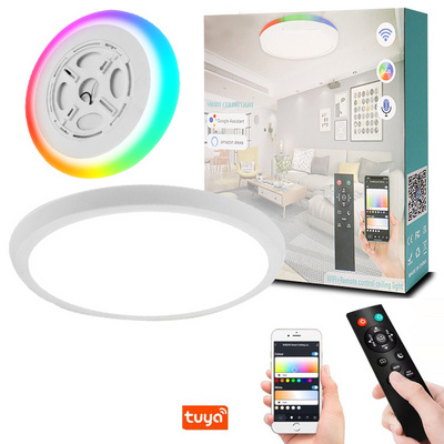 Flush Mount Ceiling Light Fixture 12 Inch 35W RGB 2700K-6500K Dimmable Smart WiFi APP Control Ceiling Lamp