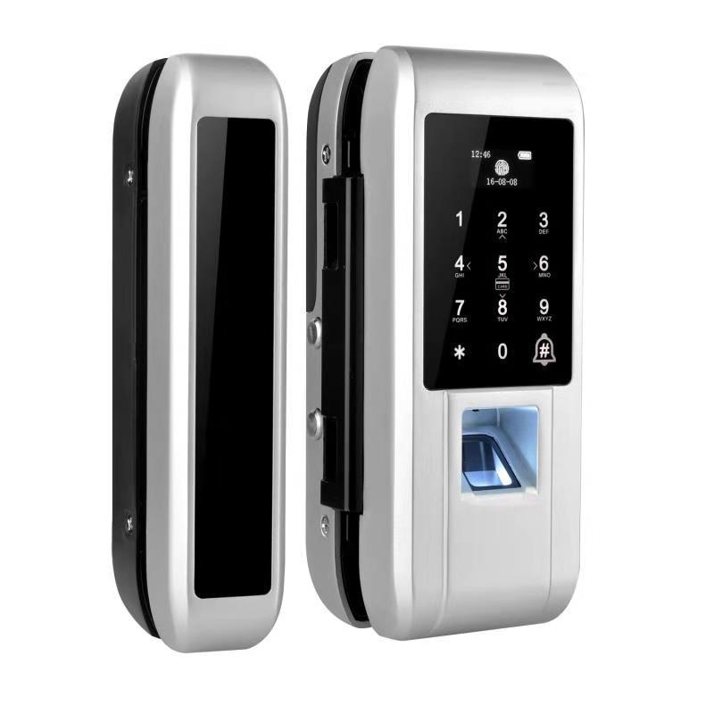 Office Home Apartment Intelligent Locker Standalone Rfid Waterproof Biometric Access Control Fingerprint Glass Door Lock