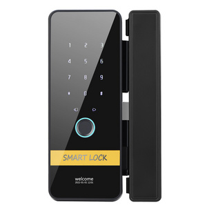 Digital Biometric Frameless RFID Card Code TTlock Smart Fingerprint Glass Door Lock with Key