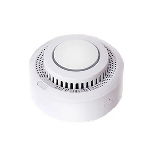 Goldbridge Wi-Fi Smoke Detector With Replaceable Lithium Battery