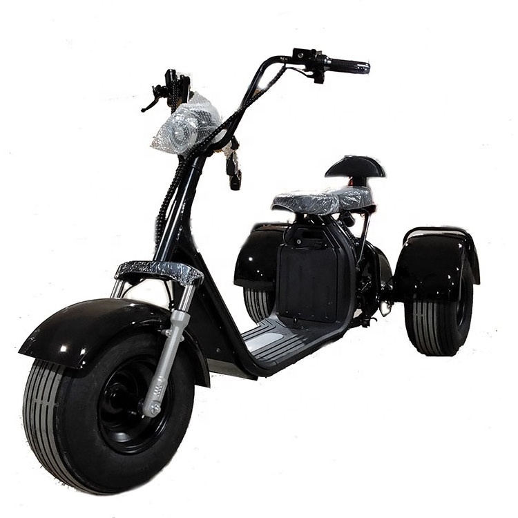 Smarda customized citycoco electric 3 wheel mobility scooter with 2 seats for adult