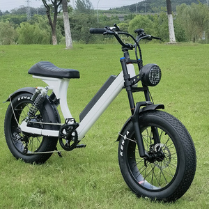 48V 15Ah Battery Electric Bike Bicycle Scooter with Fat Wheel Scooter Mobility in Stock